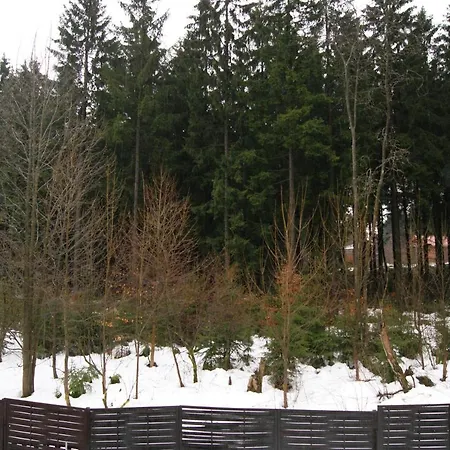 Adler 2-6 Personen Appartement Braunlage